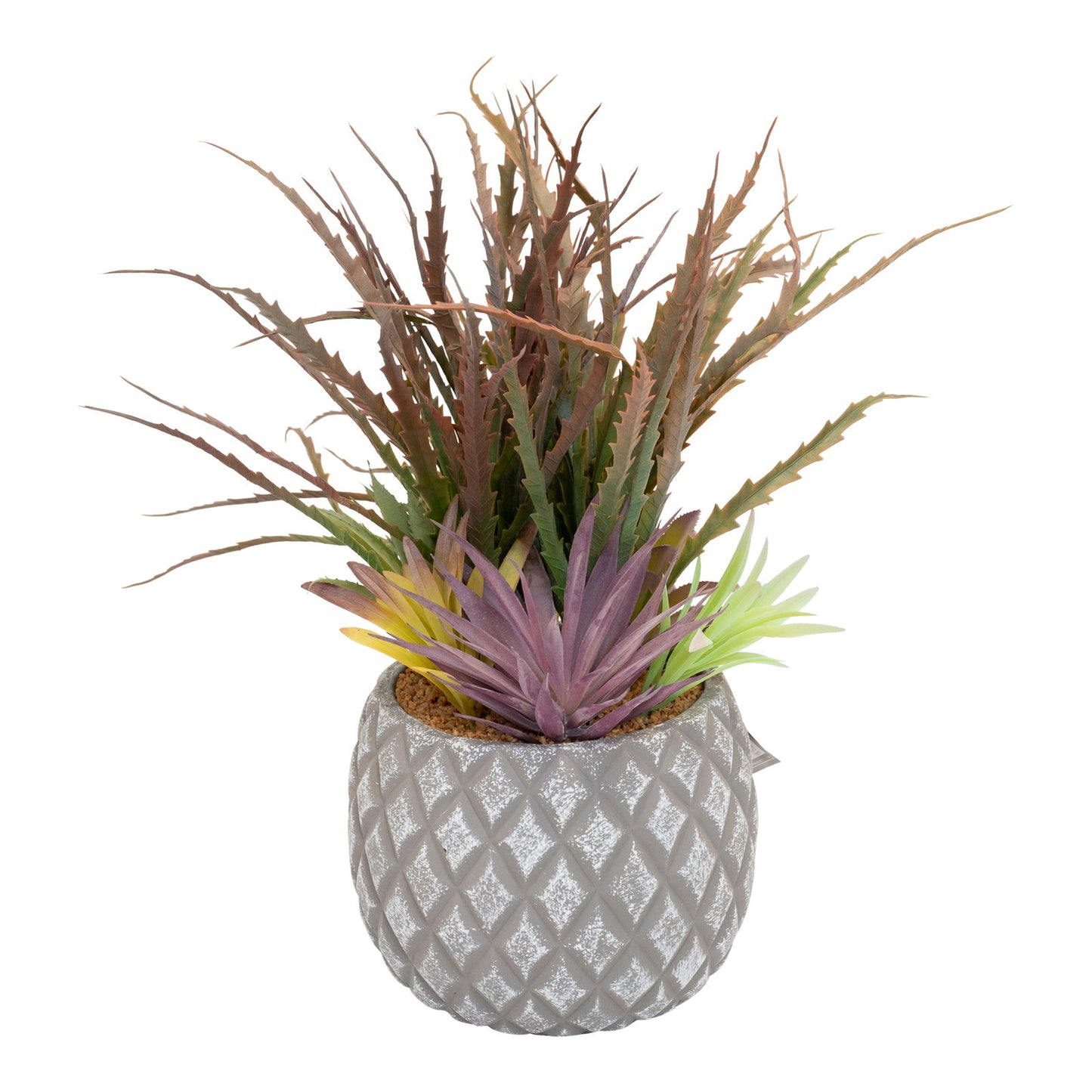 Succulents in Large Lattice Design Grey Pot