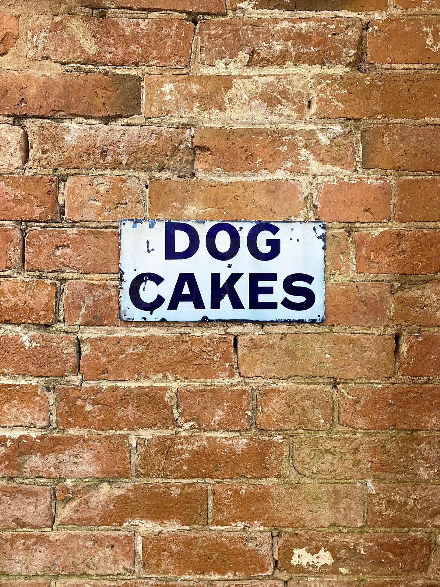 Metal Wall Sign - Dog Cakes Blue