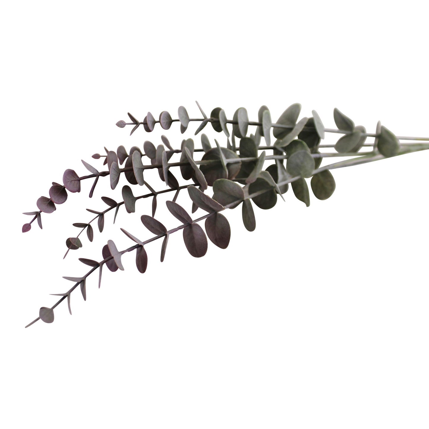 Blue & Blush Coloured Single Spray of Eucalyptus Leaves, 71cm