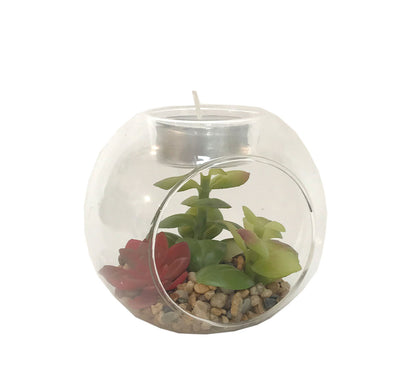 Succulent In Glass Terrarium with TeaLight Holder