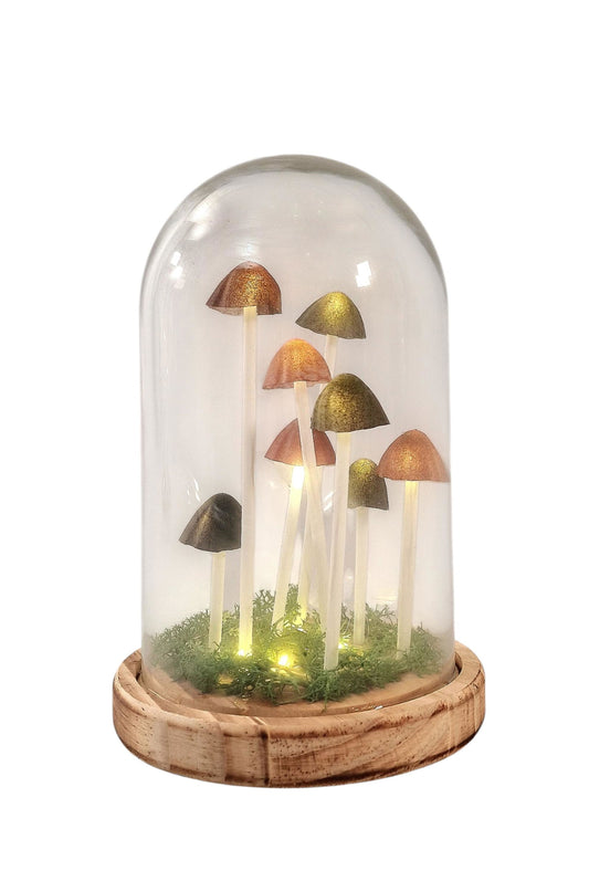 Mushroom Glass Globe with L.E.D Lighting