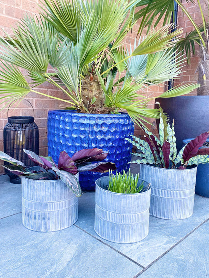 Set of Three Metal Garden Planters