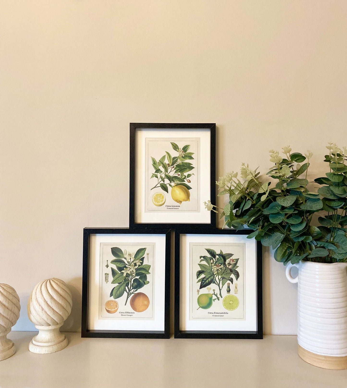 Set of Three Citrus Picture Frames